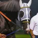 06/06/28　第5回　大井競馬　4日目 第29回 帝王賞（ＧＩ）（Ｇ１）
