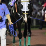 06/06/28　第5回　大井競馬　4日目 第29回 帝王賞（ＧＩ）（Ｇ１）