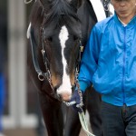 05/03/20　２回中山８日 ４Ｒ障害４歳以上未勝利