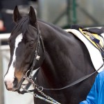 05/03/20　２回中山８日 ４Ｒ障害４歳以上未勝利