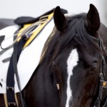 05/03/20　２回中山８日 ４Ｒ障害４歳以上未勝利