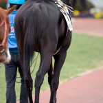 05/03/20　２回中山８日 ４Ｒ障害４歳以上未勝利