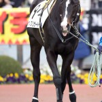05/03/20　２回中山８日 ４Ｒ障害４歳以上未勝利