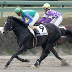 05/03/20　２回中山８日 ４Ｒ障害４歳以上未勝利
