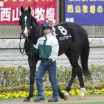 04/02/07　１回東京３日 １１Ｒ　白富士Ｓ（ＯＰ）