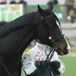 04/02/07　１回東京３日 １１Ｒ　白富士Ｓ（ＯＰ）