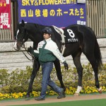 04/02/07　１回東京３日 １１Ｒ　白富士Ｓ（ＯＰ）