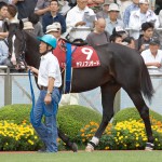 05/09/25　４回中山６日 １１Ｒ　第５１回産経賞オールカマー（ＧⅡ）　