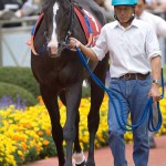 05/09/25　４回中山６日 １１Ｒ　第５１回産経賞オールカマー（ＧⅡ）　