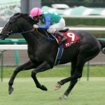 05/09/25　４回中山６日 １１Ｒ　第５１回産経賞オールカマー（ＧⅡ）　