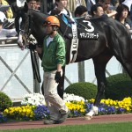 04/04/11　３回中山６日 １１R　エイプリルS（ＯＰ）