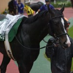 04/05/16　１回新潟６日 １１R　新潟大賞典（ＧⅢ）