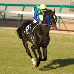 05/12/17　５回中山６日目 １１Ｒ　ディセンバーＳ