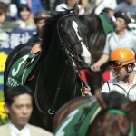 04/06/13　３回東京８日 １１R　エプソムＣ（ＧⅢ）　