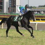 04/06/13　３回東京８日 １１R　エプソムＣ（ＧⅢ）　